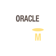 BI Model Validation