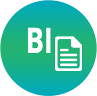 bi_report